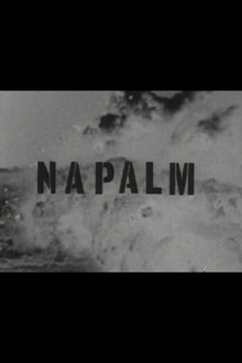 673233-thumbnail
