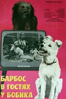 638343-thumbnail