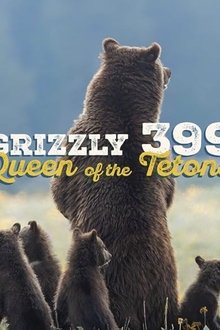 1329920-thumbnail