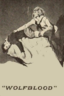 41019-thumbnail