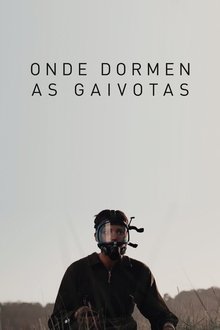 646514-thumbnail