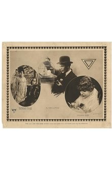 258842-thumbnail