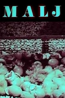 362048-thumbnail