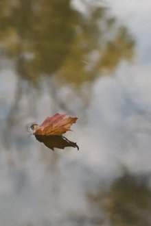 922832-thumbnail