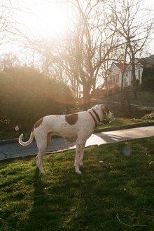 1073457-thumbnail
