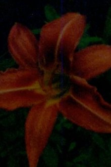 1379136-thumbnail