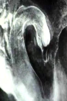 885295-thumbnail