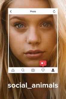 502133-thumbnail