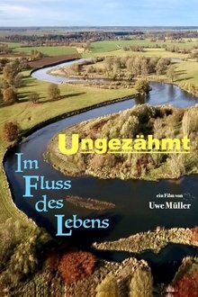 1374987-thumbnail