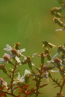 1279715-thumbnail