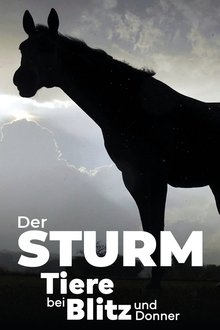 1179189-thumbnail