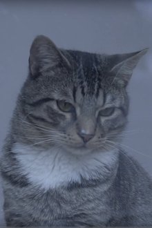1014670-thumbnail