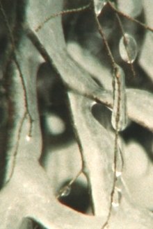 1279518-thumbnail