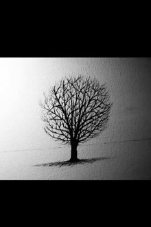 1006157-thumbnail