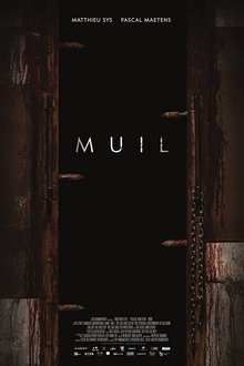 522649-thumbnail