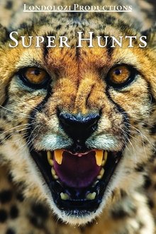 1146937-thumbnail