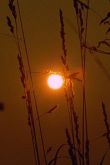1279509-thumbnail