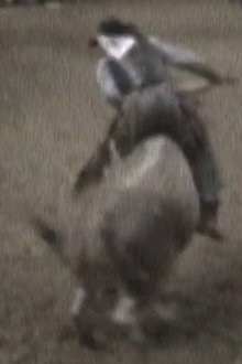 438894-thumbnail