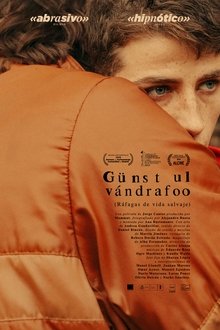 673704-thumbnail