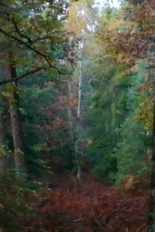 1180291-thumbnail