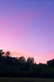 1289636-thumbnail