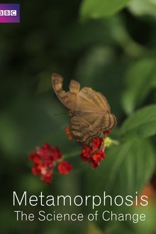 376075-thumbnail