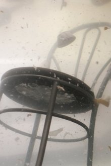 1012221-thumbnail