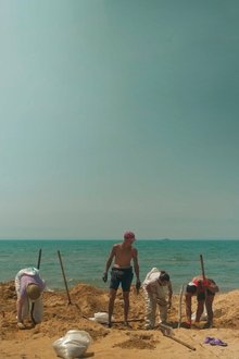 1529577-thumbnail