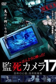1136085-thumbnail