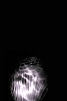 1023184-thumbnail