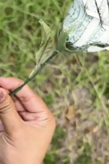 1186260-thumbnail