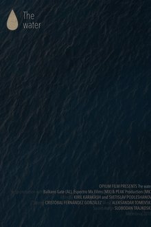992818-thumbnail