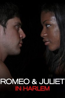 512702-thumbnail