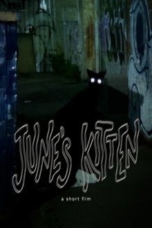 1276902-thumbnail