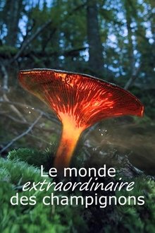 1376184-thumbnail