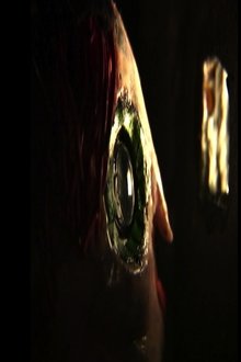 1176528-thumbnail