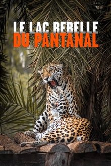 1016422-thumbnail