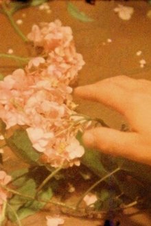 293521-thumbnail