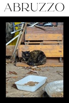 1241829-thumbnail