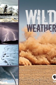 1247463-thumbnail