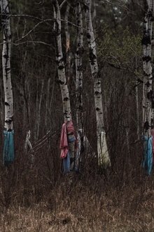 1147610-thumbnail