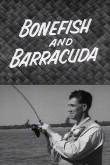 719533-thumbnail