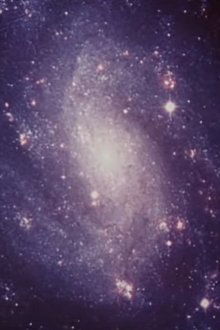 1184031-thumbnail