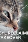 Recommendation
