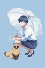 Recommendation
